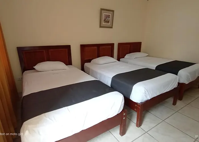Las Palmeras de Huanchaco