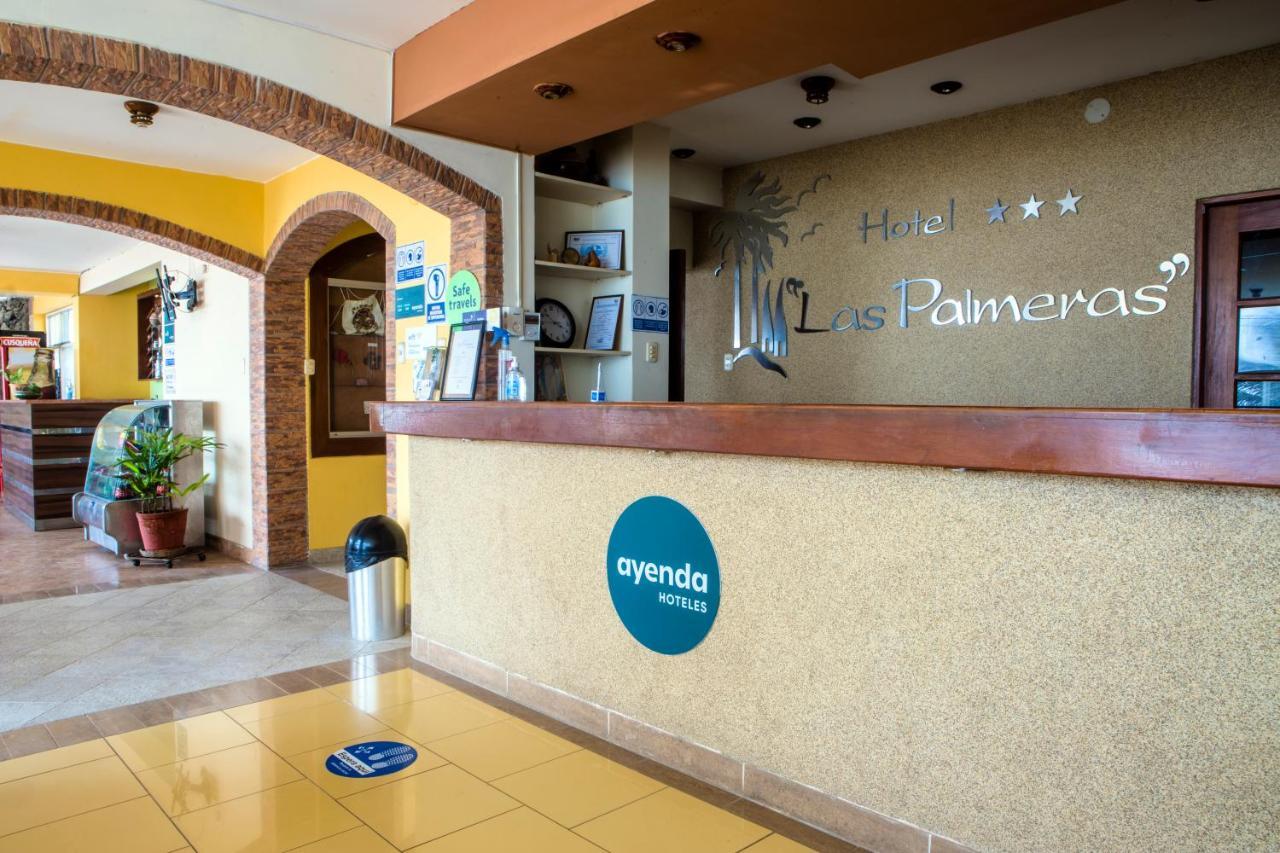 Palmeras De Hotel Huanchaco