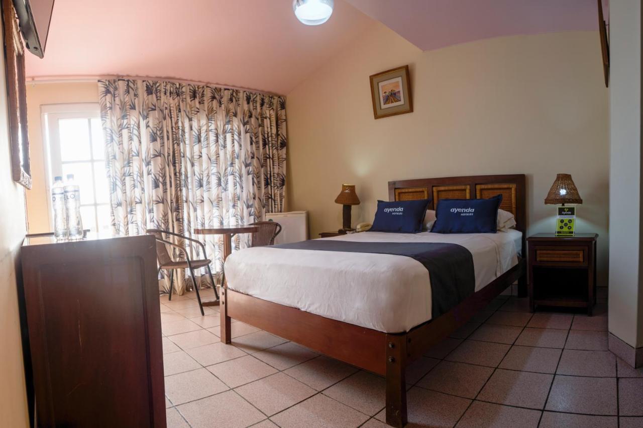 Palmeras De Hotel