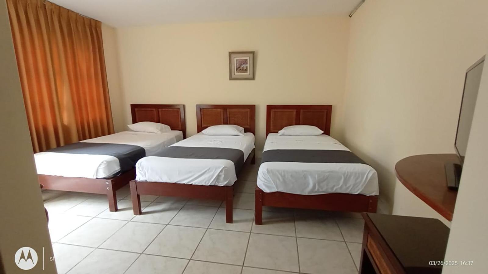 Palmeras De Hotel 3*